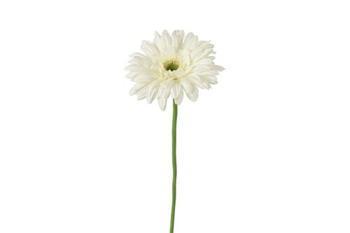 Decostar zijdebloem gerbera leanne 60 cm wit
