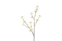 Decostar zijdebloem malus 111 cm wit