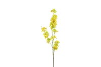 Decostar zijdebloem Matthiola 120 cm geel