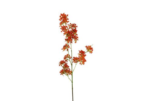 Decostar zijdebloem Matthiola 120 cm oranje