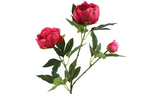 Decostar zijdebloem Paeonia 73 cm fuchsia