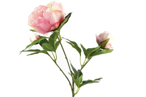 Decostar zijdebloem Paeonia 73 cm roze