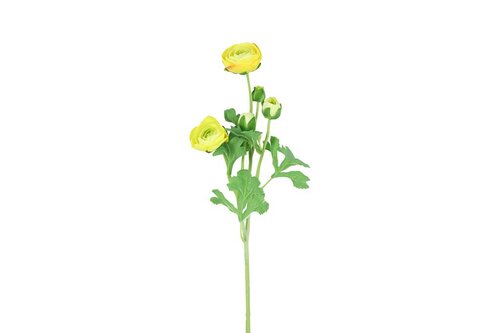 Decostar zijdebloem Ranunculus 53 cm geel