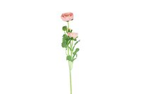 Decostar zijdebloem Ranunculus 53 cm roze