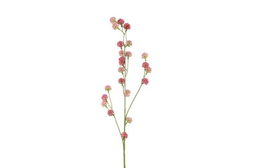 Decostar zijdebloem Trifolium L 90 cm roze