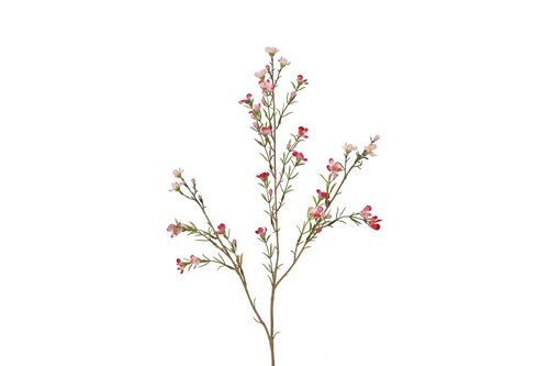 Decostar zijdebloem van wax Tamara 78 cm fuchsia