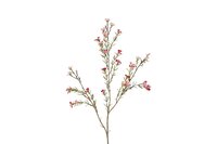 Decostar zijdebloem van wax Tamara 78 cm fuchsia