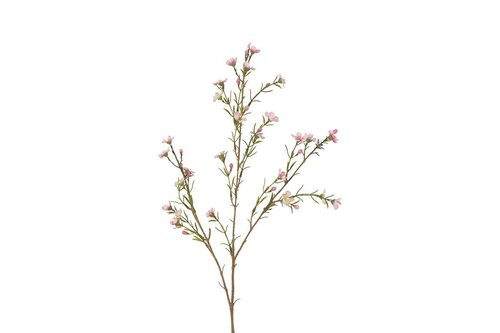 Decostar zijdebloem van wax tamara 78 cm roze