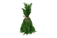 Countryfield zijden dennentak juniperus 51 cm groen