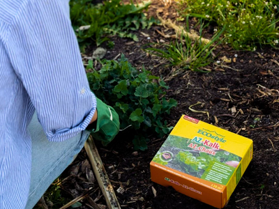 Diverse moestuin voeding
