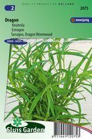 Dragon zaden Artemisia Dracunculus