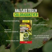 Ecostyle aaltjes tegen coloradokever 50 m² - afbeelding 2