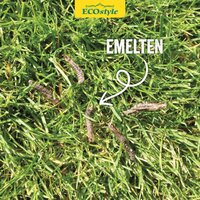 Ecostyle Aaltjes tegen emelten 100m² - afbeelding 3