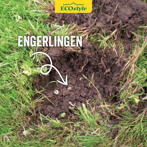 Ecostyle Aaltjes tegen engerlingen 1000 m² - afbeelding 3