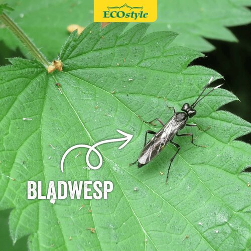 Ecostyle Aaltjes tegen larven bladwesp 60 m² - afbeelding 3