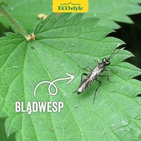 Ecostyle Aaltjes tegen larven bladwesp 60 m² - afbeelding 3