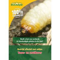 Ecostyle aaltjes tegen larven taxus-kever L 10 m² - afbeelding 1