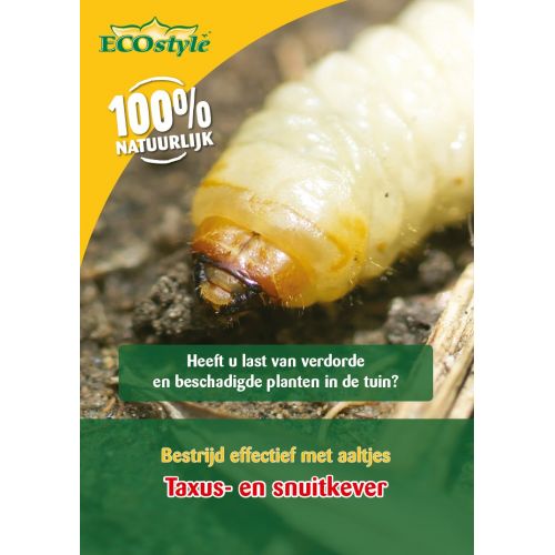Ecostyle aaltjes tegen larven taxus-kever L 100 m² - afbeelding 1