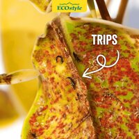 Ecostyle Aaltjes tegen larven trips 10 m² - afbeelding 3