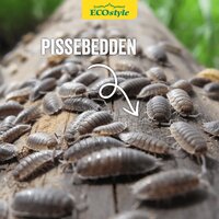 Ecostyle aaltjes tegen pissebedden val - afbeelding 3