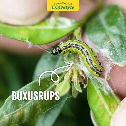Ecostyle Aaltjes tegen rupsen van de buxusmot 20 m² - afbeelding 3