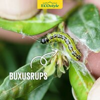 Ecostyle Aaltjes tegen rupsen van de buxusmot 20 m² - afbeelding 3