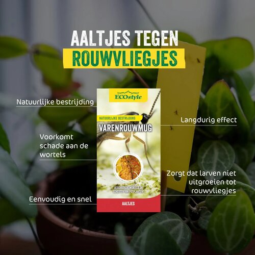 Ecostyle Aaltjes tegen varenrouwmug 5-10 planten - afbeelding 2