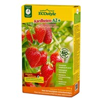 Ecostyle Aardbeien-az 800 gram - afbeelding 1