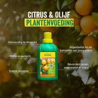 ECOstyle citrus & olijf voeding 500 ml - afbeelding 2