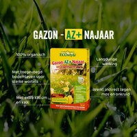 Ecostyle Gazon-az+ najaar 10 kg - afbeelding 2