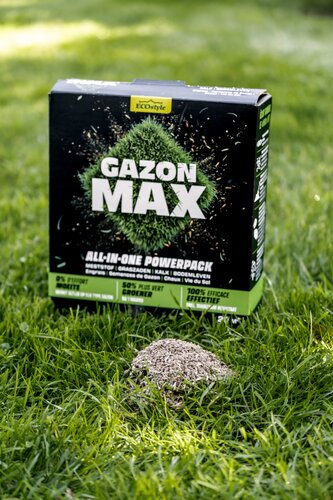 Ecostyle gazon max 1 kg voor 20 m² - afbeelding 2