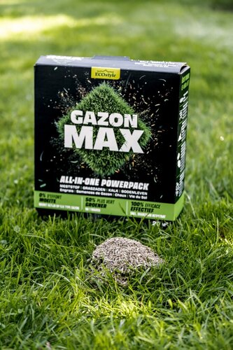 Ecostyle gazon max 1 kg voor 20 m2 - afbeelding 2