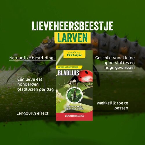 Ecostyle larven van lieveheersbeestje 20 m² - afbeelding 2