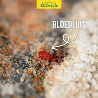 Ecostyle roofmijt tegen bloedluis bij gevogelte 5 m² - afbeelding 3