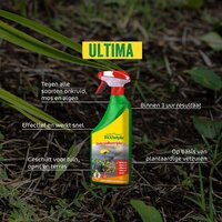 ECOstyle Ultima Onkruid & Mos concentraat 2,5 liter - afbeelding 2