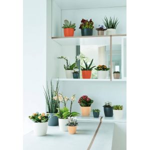 Elho brussels round mini 7 cm white - afbeelding 2