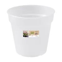 Elho green basic orchidee 15 transparant - afbeelding 1