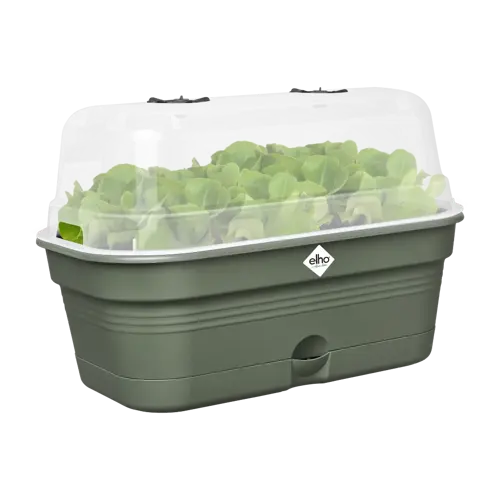 Elho green basics grow tray all-in-1 leaf green 32 - afbeelding 3