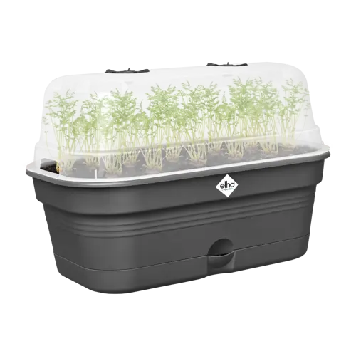 Elho green basics grow tray all-in-1 living black 39 - afbeelding 3