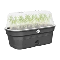 Elho green basics grow tray all-in-1 living black 39 - afbeelding 3