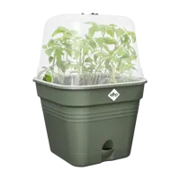 Elho green basics growpot square all-in-1 leaf green 15 - afbeelding 3