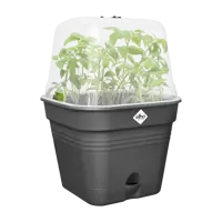 Elho green basics growpot square all-in-1 living black 15 - afbeelding 3