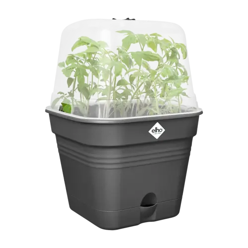 Elho green basics growpot square all-in-1 living black 25 - afbeelding 3