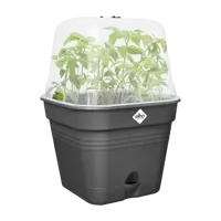Elho green basics growpot square all-in-1 living black 30 - afbeelding 3