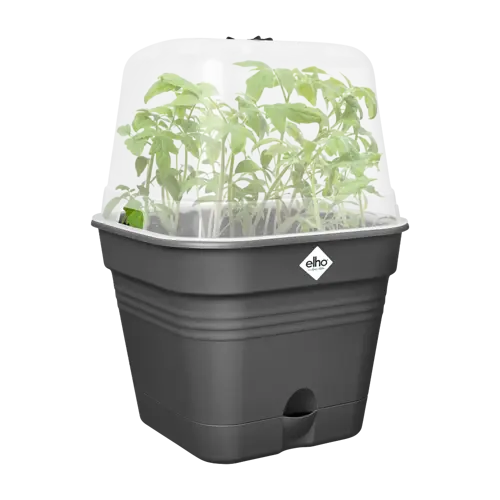 Elho green basics growpot square all-in-1 living black 35 - afbeelding 3