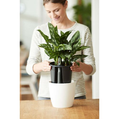 Elho self-watering insert 21 living black - afbeelding 2