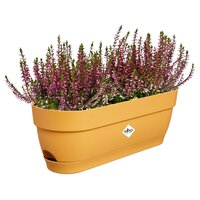Elho Vibia campaba trough 50 honey yellow - afbeelding 2