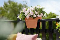 Elho vibia campana flower bridge 60 terra - afbeelding 4