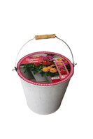 Emmer dahlia summer bloom