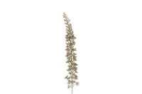 Countryfield zijden Eremurus 109 cm goud